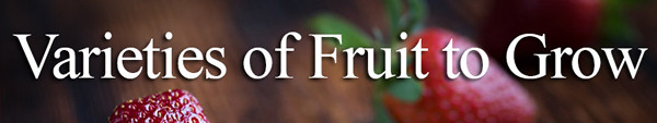 Varieties of fruit to grow